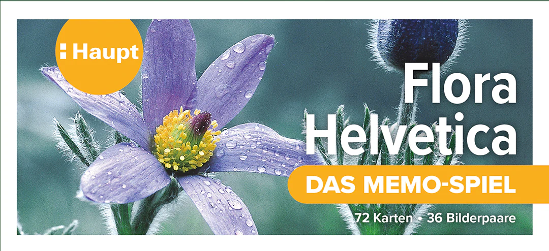 Vorschaubild 1