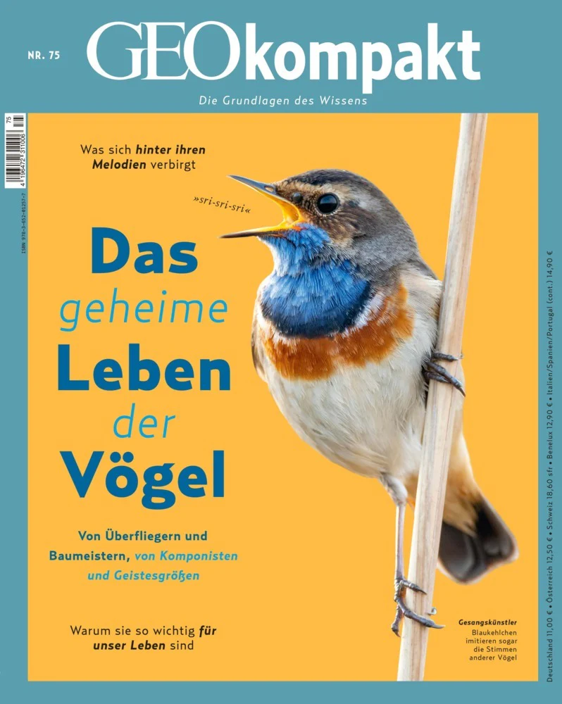 Vorschaubild 1