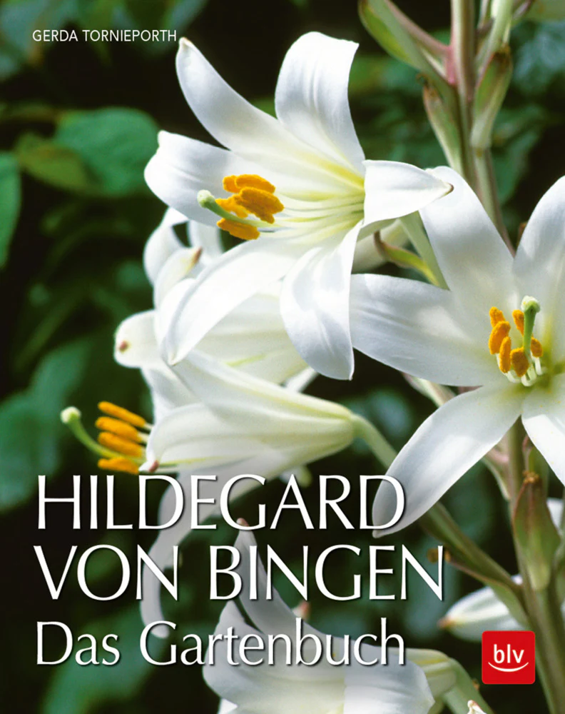 Vorschaubild 1