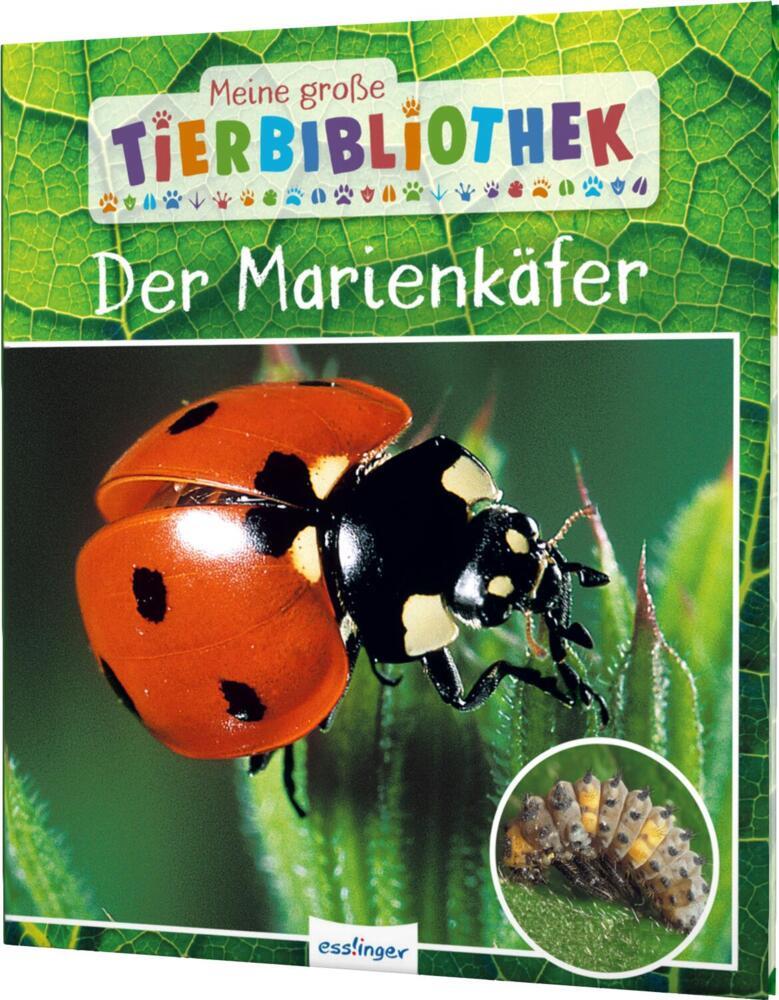 Produktbild 1
